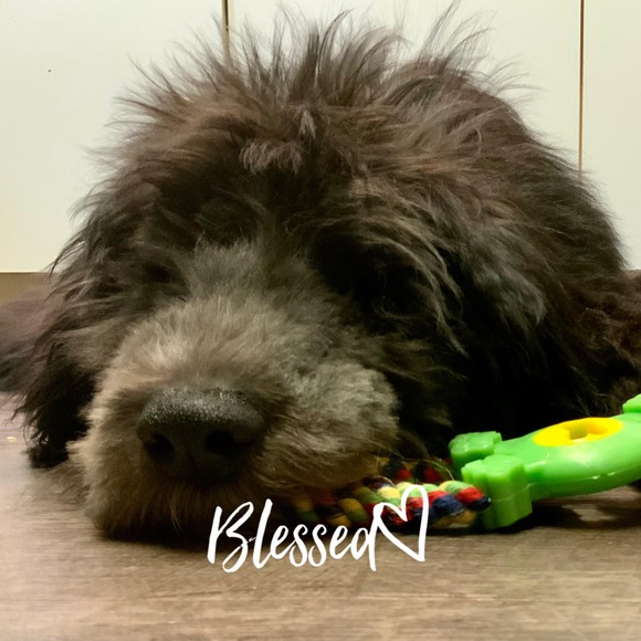 Meet your Posher, Marc - Picture 1 of 1